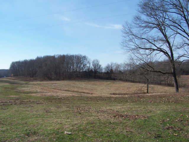 0 Ogg Road Adams, TN 37010 - Photo 7 of 20