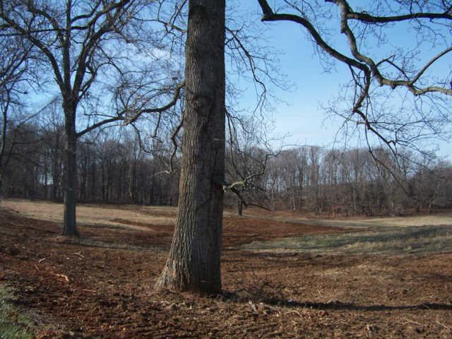 0 Ogg Road Adams, TN 37010 - Photo 9 of 20