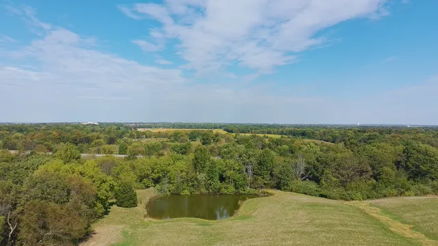 a aerial view of a garden with swimming pool