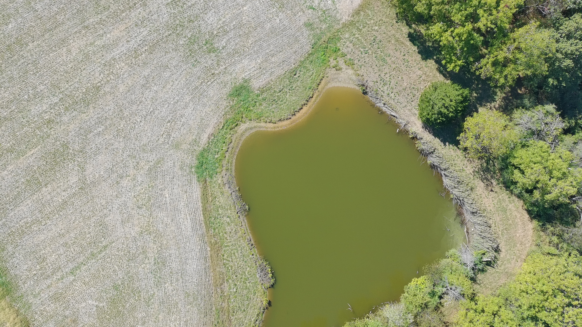 12156 East Bunny Farm Road Mount Vernon, IL 62864 - Photo 2 of 5 a aerial view of a garden with swimming pool