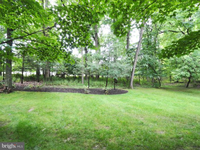 3515 Gardenview Road Pikesville, MD 21208 - Photo 8 of 25 Backyard