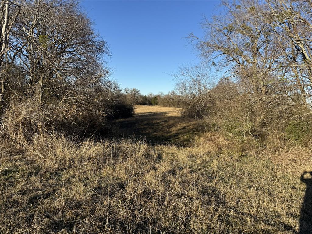 4026 Kemp Tx 75143 Kemp, TX 75143 - Photo 2 of 3 Expansive open field surrounded by mature deciduous trees and natural vegetation