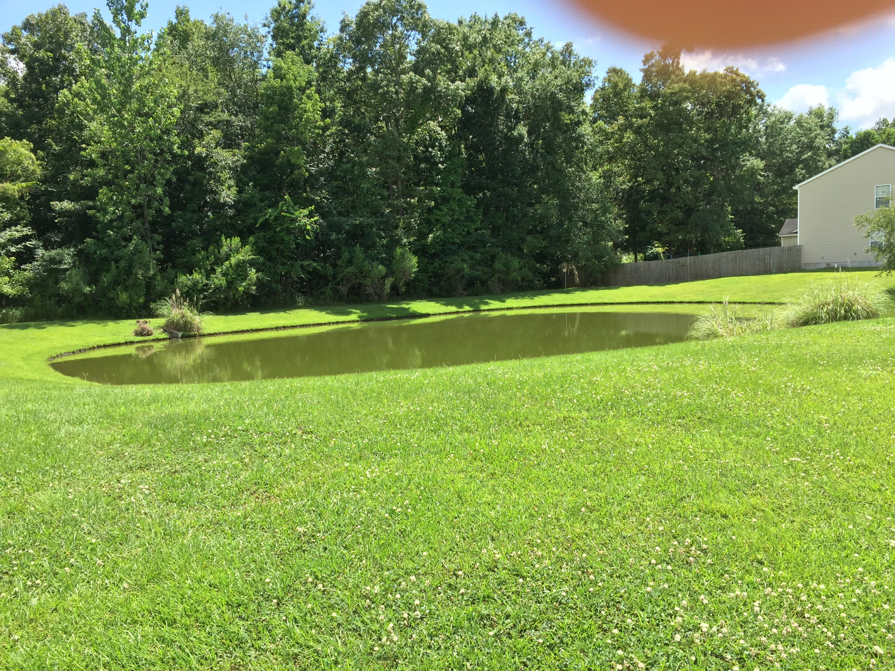 125 Old Tree Road Goose Creek, SC 29445 - Photo 3 of 20 IMG_2058
