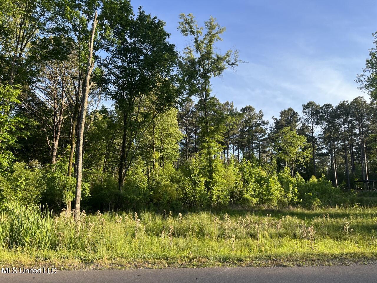 Oakside Trail Madison, MS 39110 - Photo 1 of 6 Lot 18