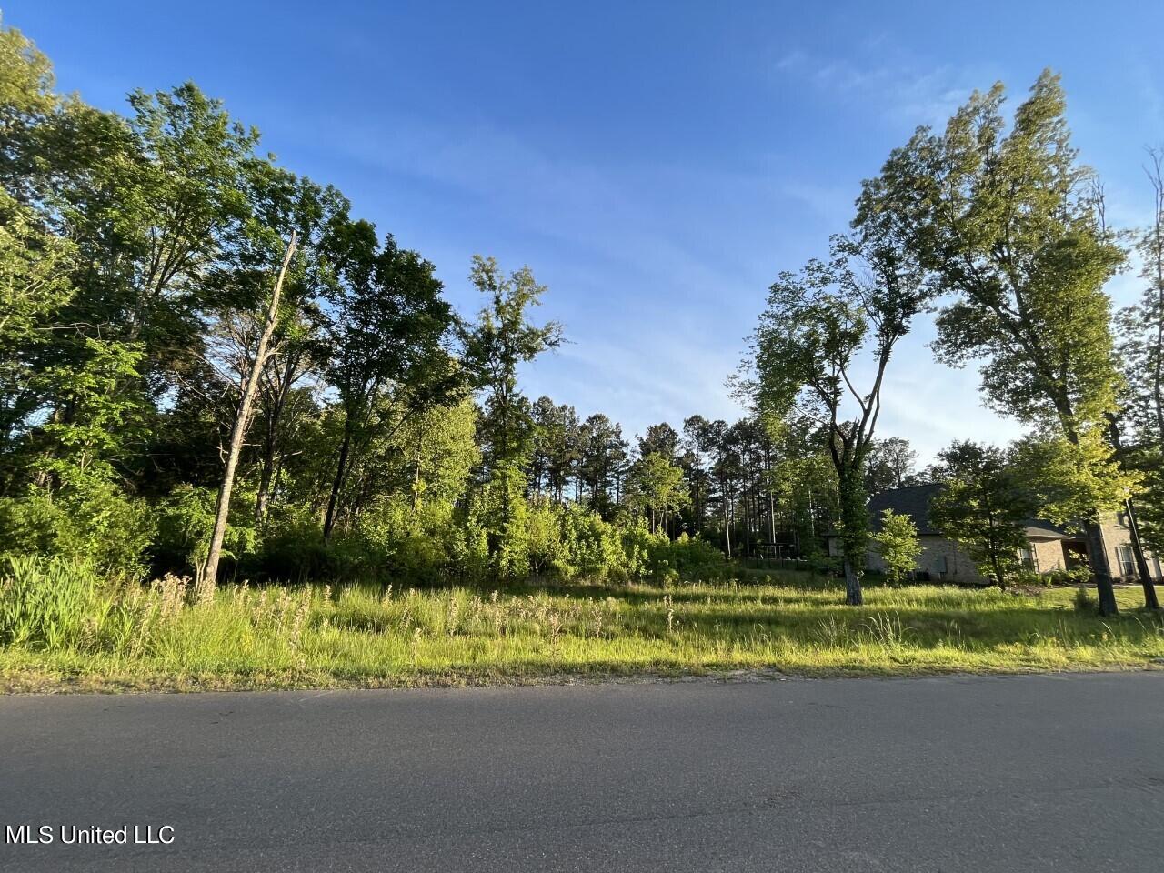 Oakside Trail Madison, MS 39110 - Photo 2 of 6 Lot 18 _ 2