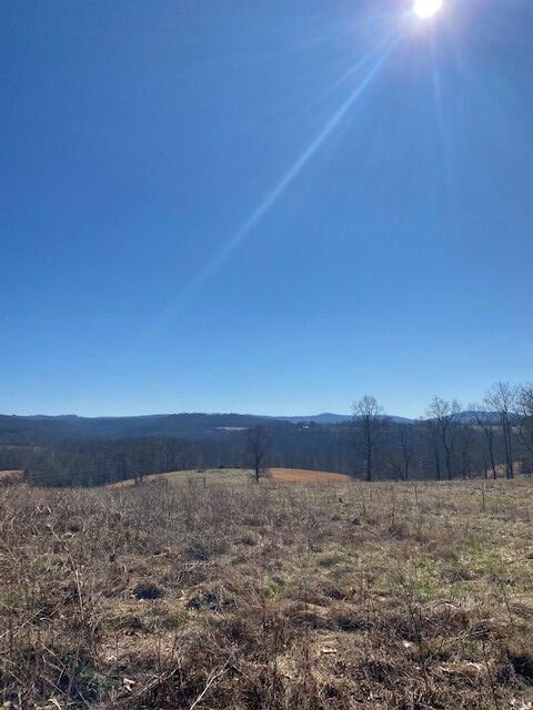Lot 7 Reeder Town Road, Unit LOT 7 Byrdstown, TN 38549 - Photo 3 of 10 Dale Hollow Tr7b