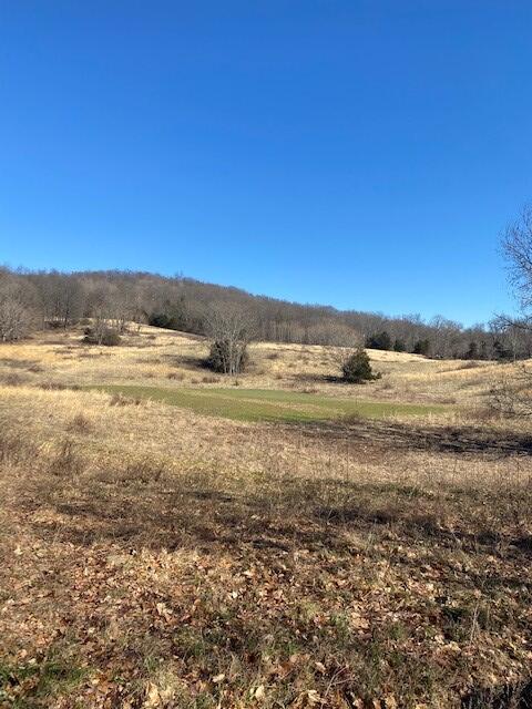 Lot 7 Reeder Town Road, Unit LOT 7 Byrdstown, TN 38549 - Photo 4 of 10 Dale Hollow Tr7c
