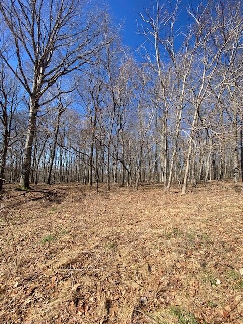 Lot 7 Reeder Town Road, Unit LOT 7 Byrdstown, TN 38549 - Photo 10 of 10 Dale Hollow Tr7i
