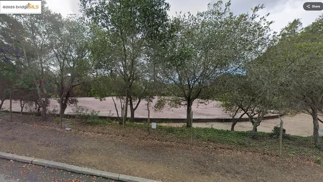 a view of a yard with a tree