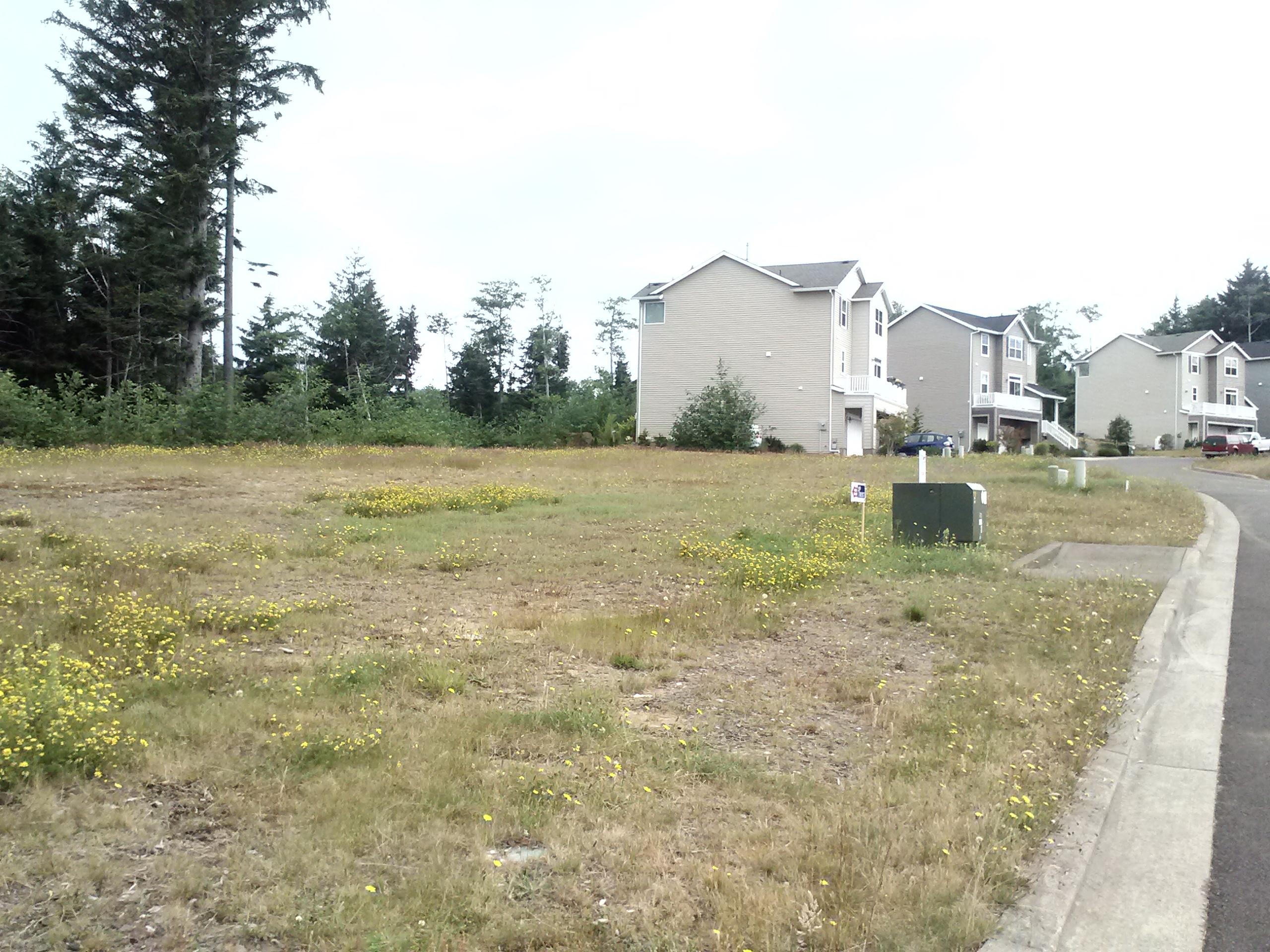 Lot 104 Sequoia Loop Tillamook, OR 97141 - Photo 4 of 6 View of lot looking East