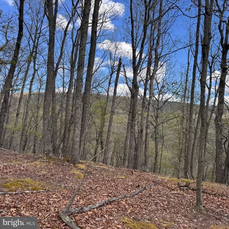 $79,900 | 5 Cove Creek, Baker, WV 26801