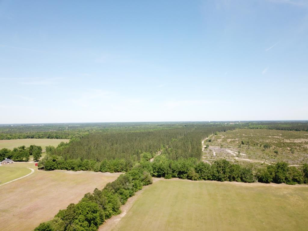 Tbd Tbd Dixie Road South Wagener, SC 29164 - Photo 23 of 25