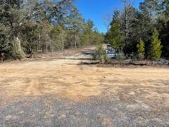 3.17 Ac Highway Crestview, FL 32539 - Photo 5 of 8 IMG_4240