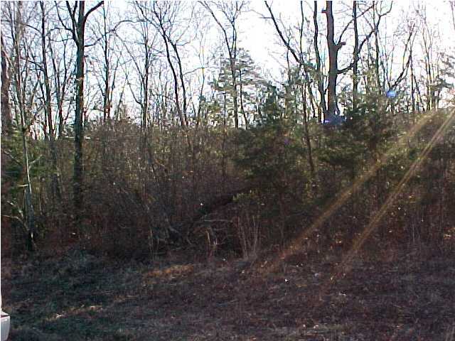 716 Window Rock Road Dunlap, TN 37327 - Photo 1 of 3 Primary Photo