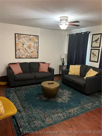 a living room with furniture and a rug