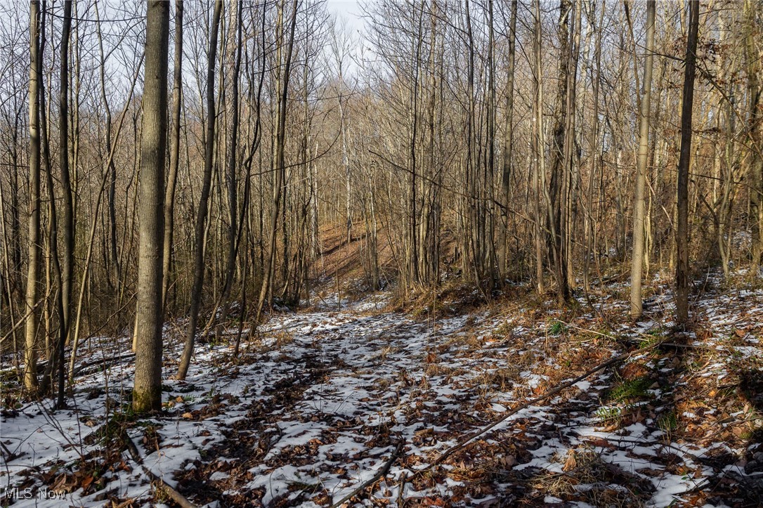 9 County Road New Matamoras, OH 45767 - Photo 25 of 48 View of snow covered land
