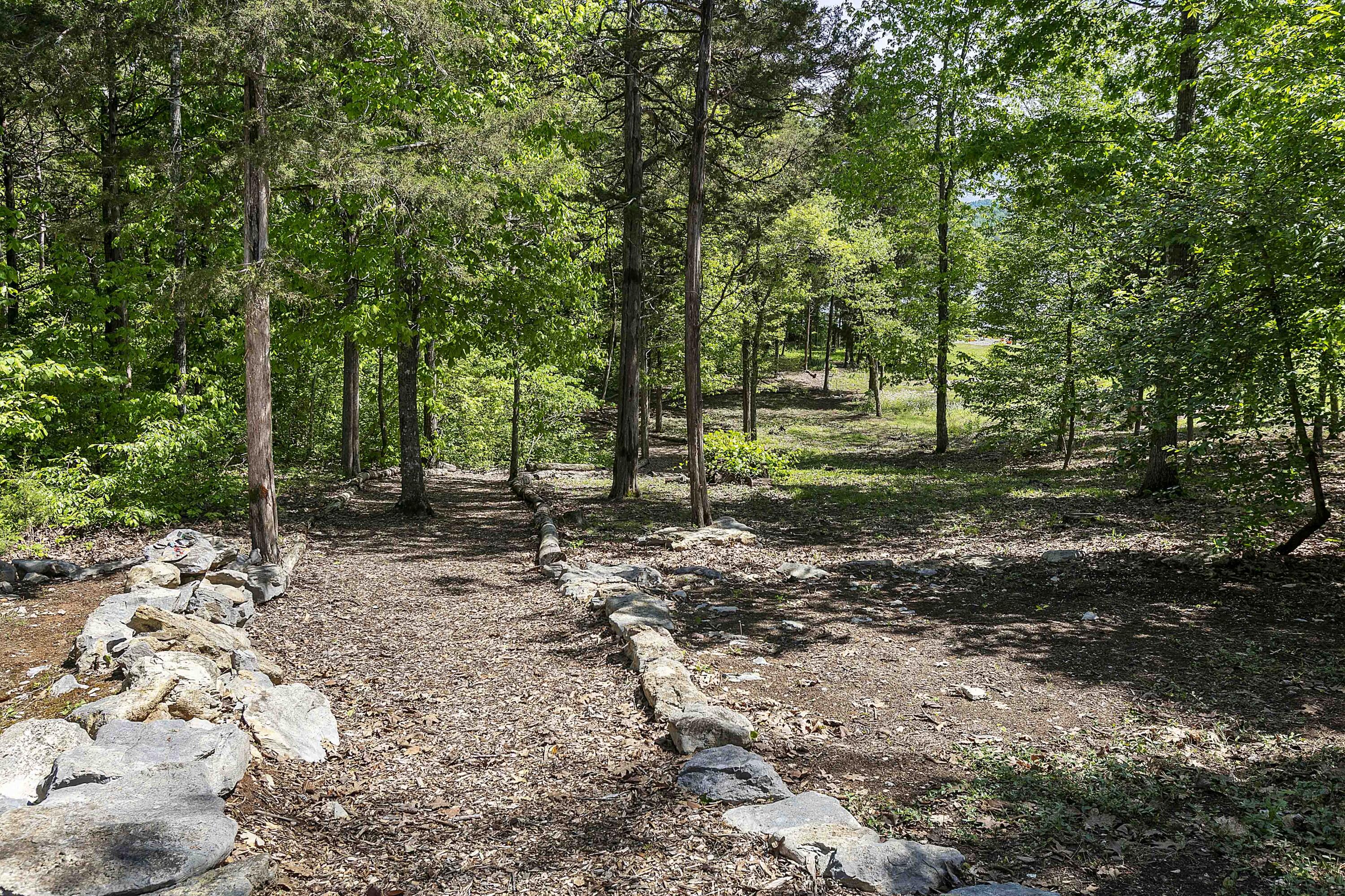 349 Cape Russell Road Sharps Chapel, TN 37866 - Photo 22 of 31 Easy Path to Lake
