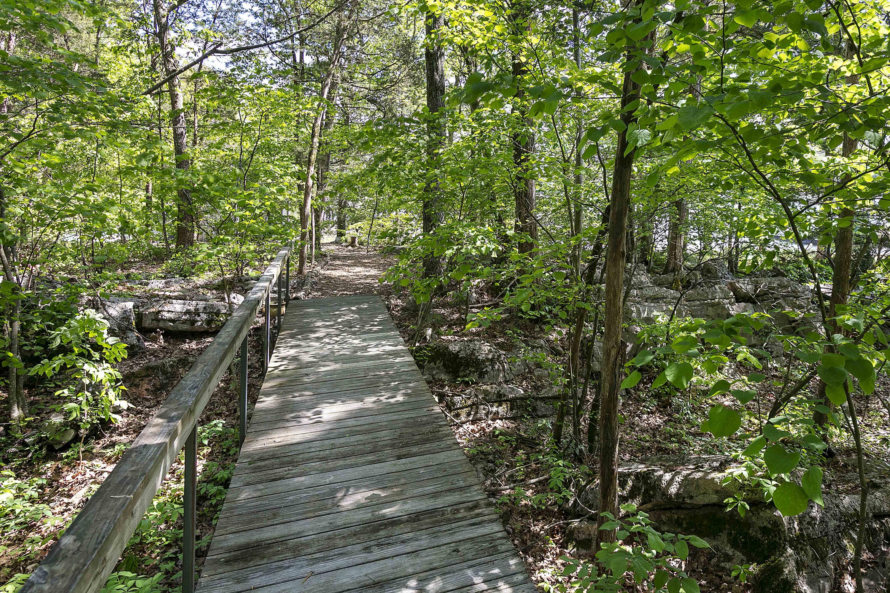 349 Cape Russell Road Sharps Chapel, TN 37866 - Photo 24 of 31 Bridge