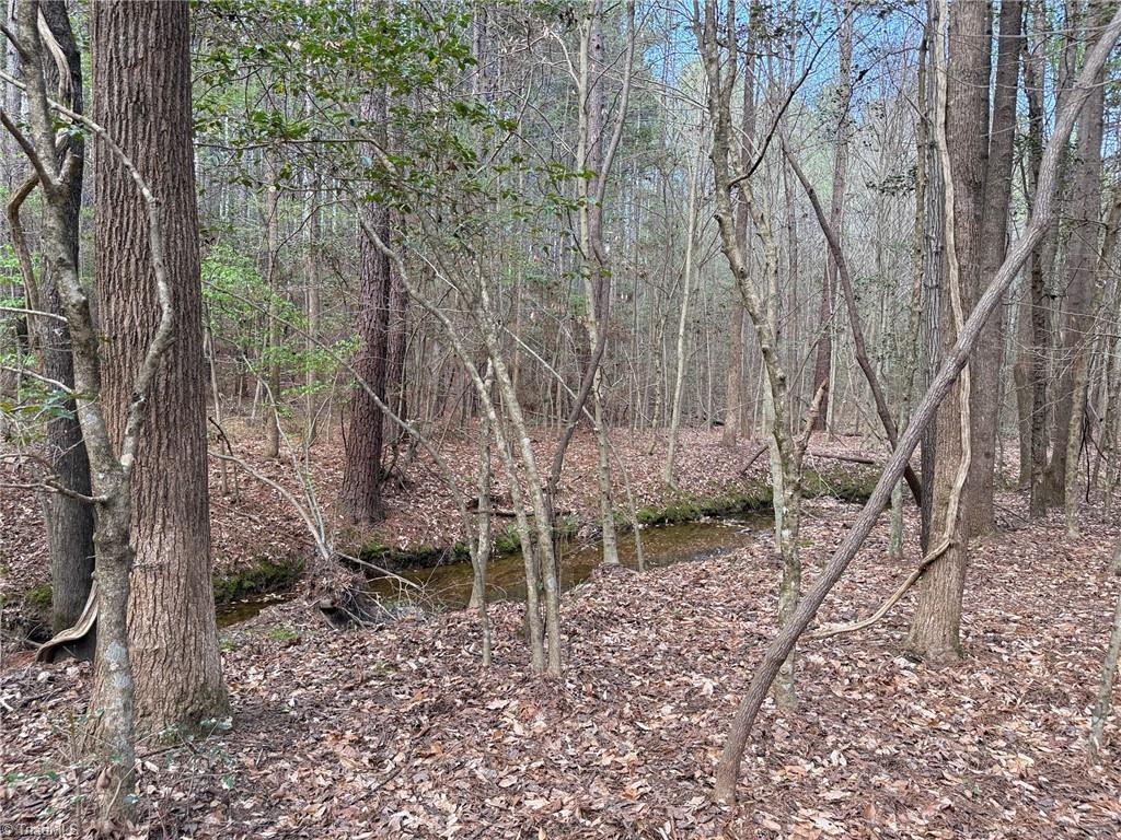 Lot 7 Thompson Road Seagrove, NC 27341 - Photo 11 of 14