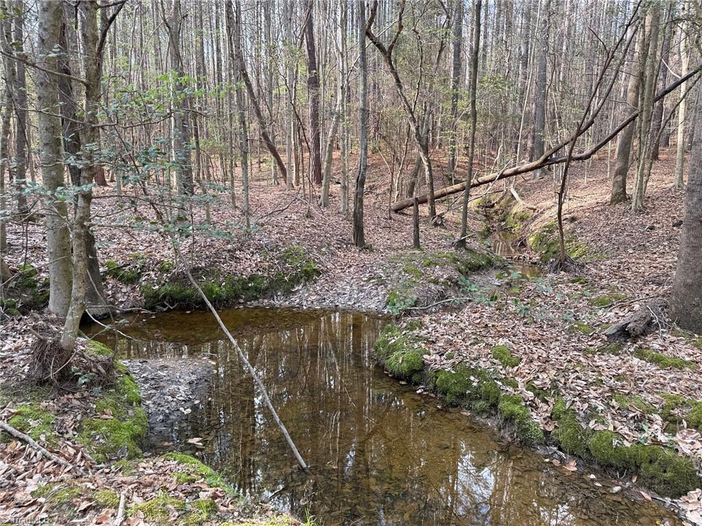 Lot 7 Thompson Road Seagrove, NC 27341 - Photo 12 of 14