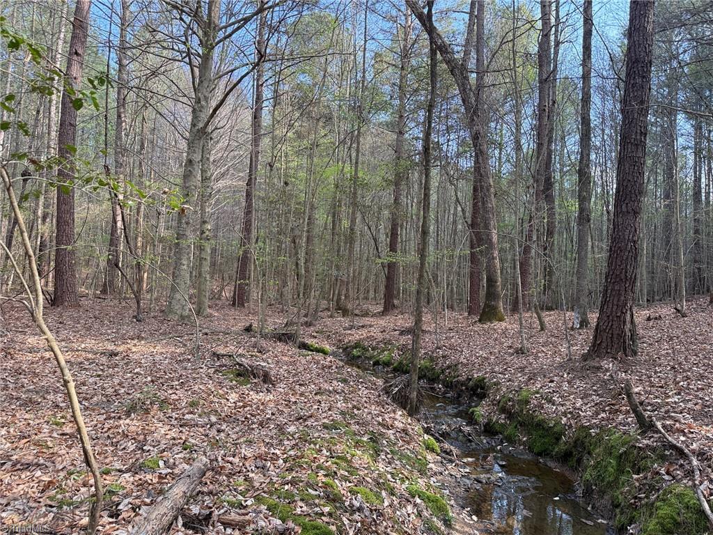 Lot 7 Thompson Road Seagrove, NC 27341 - Photo 13 of 14