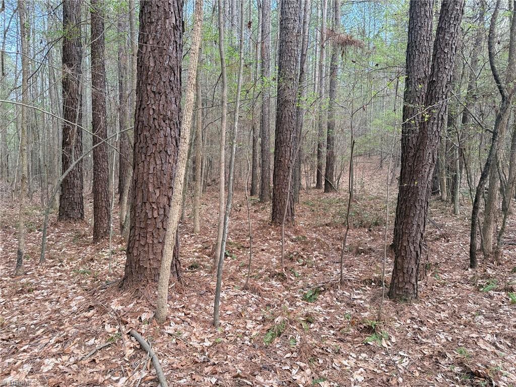 Lot 7 Thompson Road Seagrove, NC 27341 - Photo 14 of 14