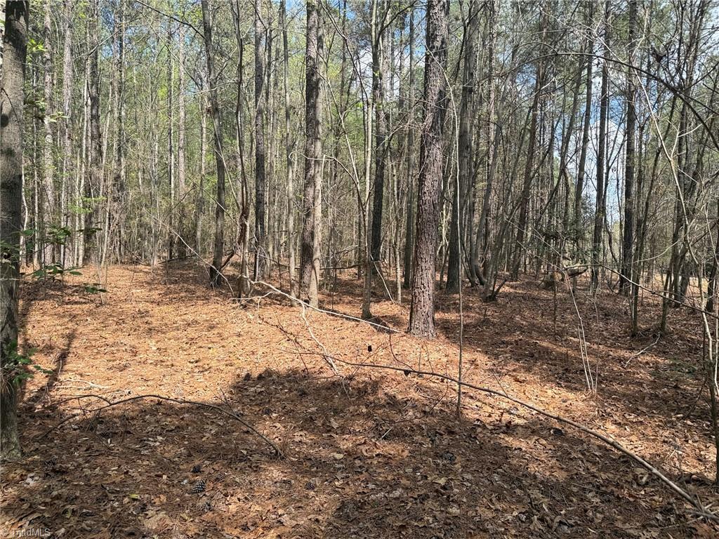 Lot 7 Thompson Road Seagrove, NC 27341 - Photo 2 of 14