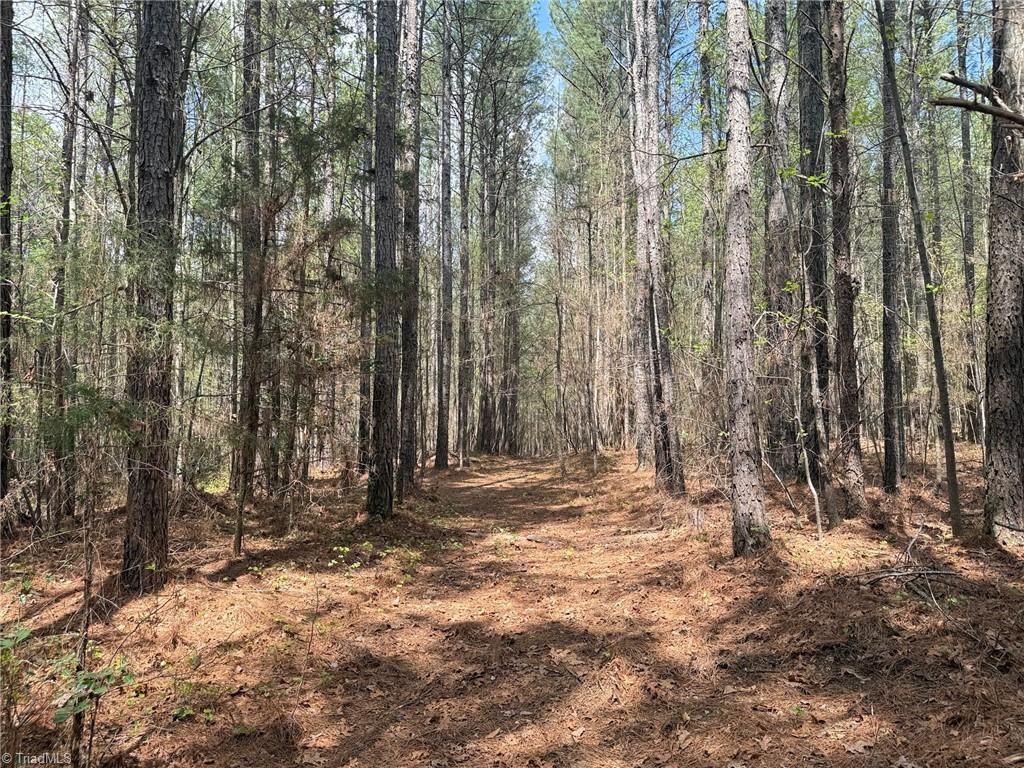 Lot 7 Thompson Road Seagrove, NC 27341 - Photo 3 of 14