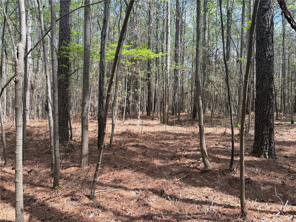 Lot 7 Thompson Road Seagrove, NC 27341 - Photo 4 of 14