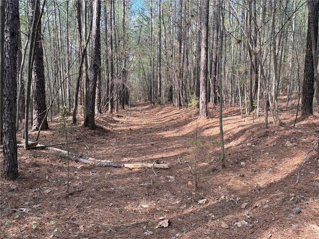 Lot 7 Thompson Road Seagrove, NC 27341 - Photo 5 of 14