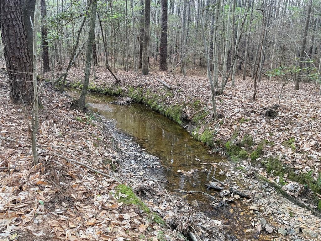 Lot 7 Thompson Road Seagrove, NC 27341 - Photo 6 of 14