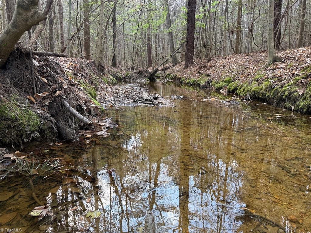 Lot 7 Thompson Road Seagrove, NC 27341 - Photo 7 of 14