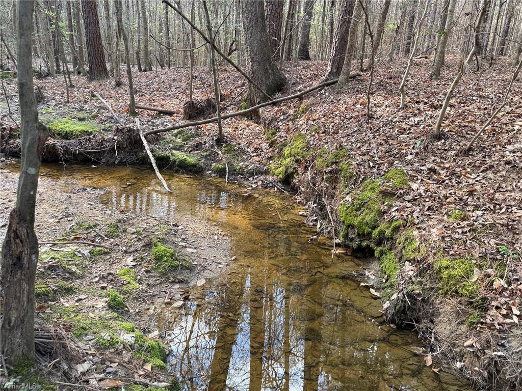 Lot 7 Thompson Road Seagrove, NC 27341 - Photo 8 of 14