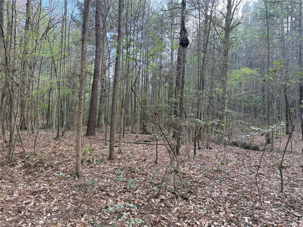 Lot 7 Thompson Road Seagrove, NC 27341 - Photo 9 of 14