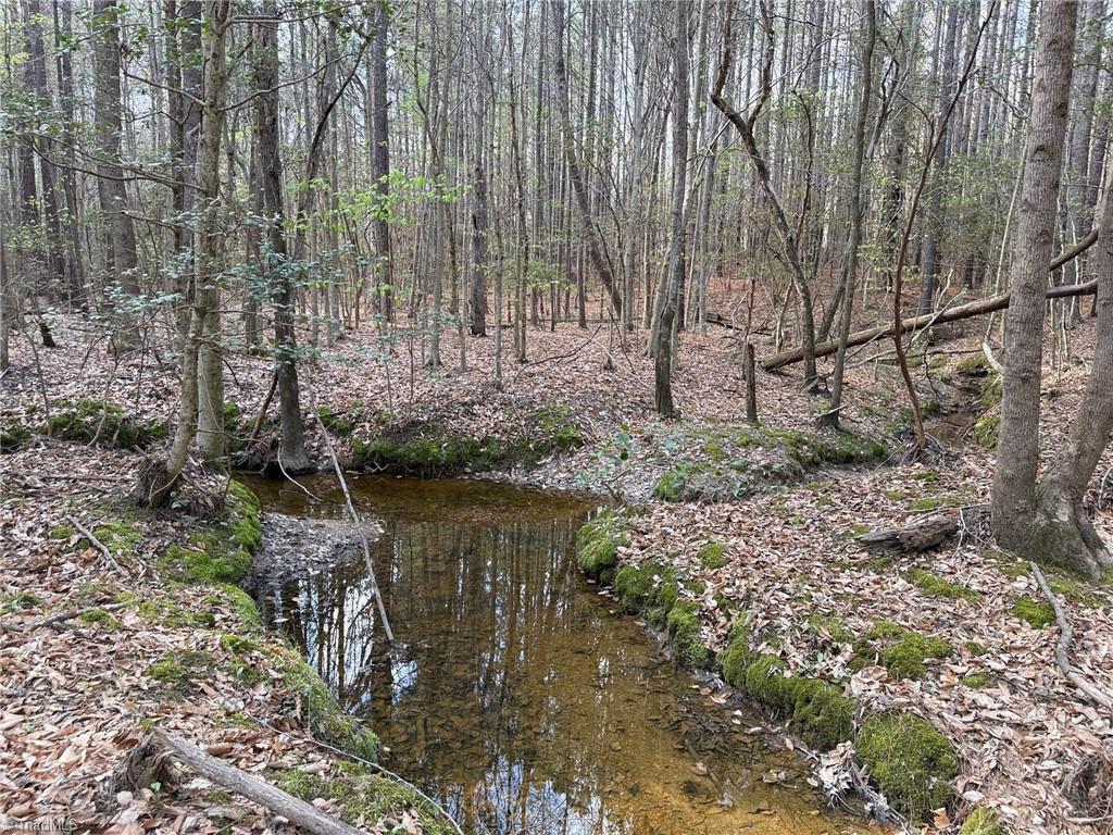 Lot 7 Thompson Road Seagrove, NC 27341 - Photo 10 of 14