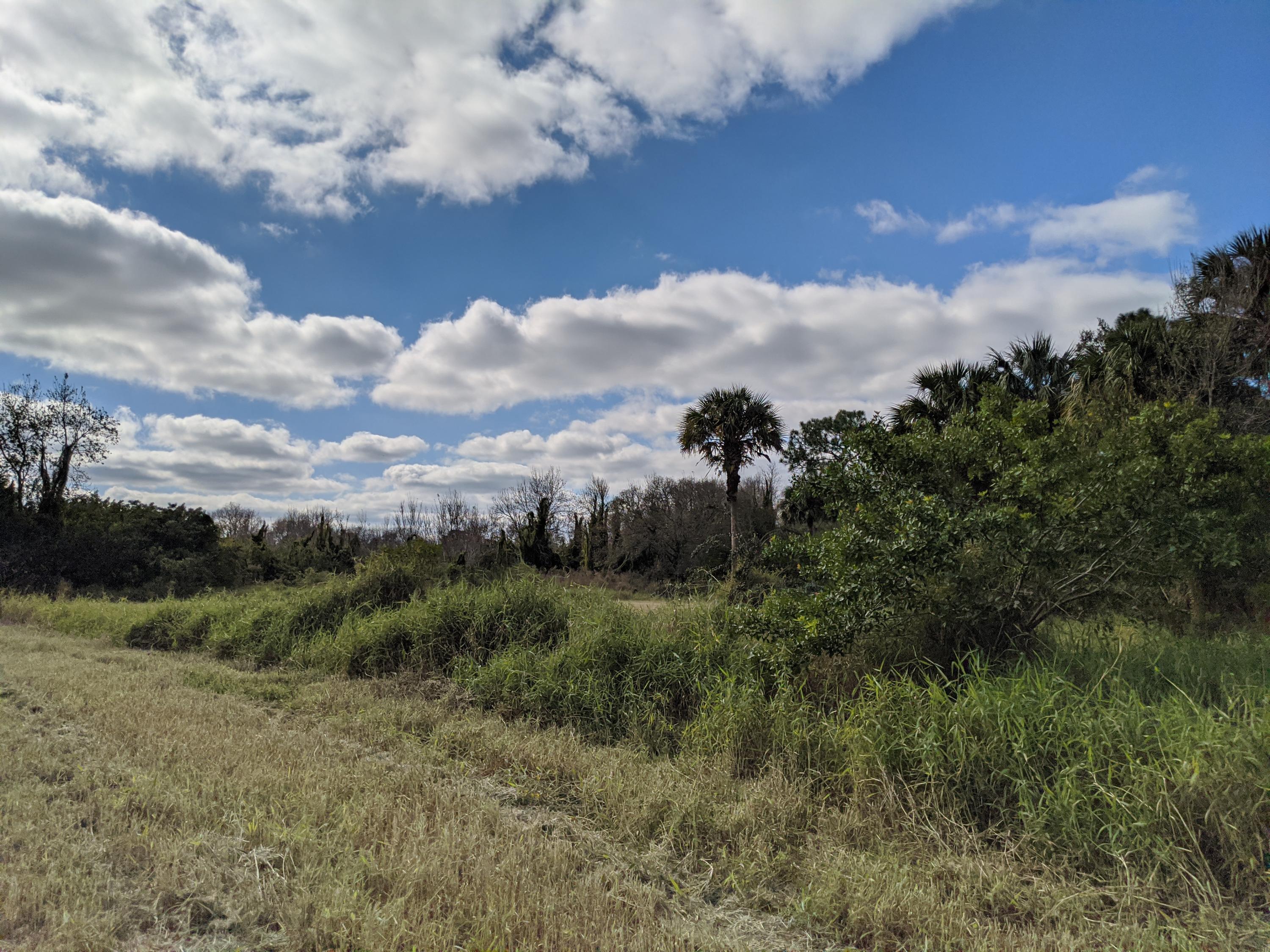 7851 Southwest Fox Brown Road Indiantown, FL 34956 - Photo 23 of 67 IMG_20210109_112643