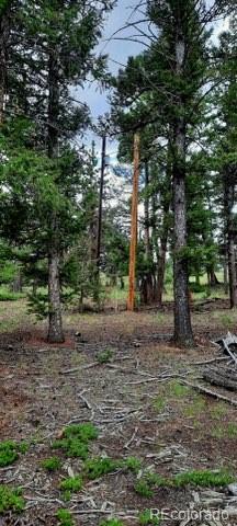 1269 Blacksmith Road Hartsel, CO 80449 - Photo 8 of 15 a backyard of a house with lots of green space