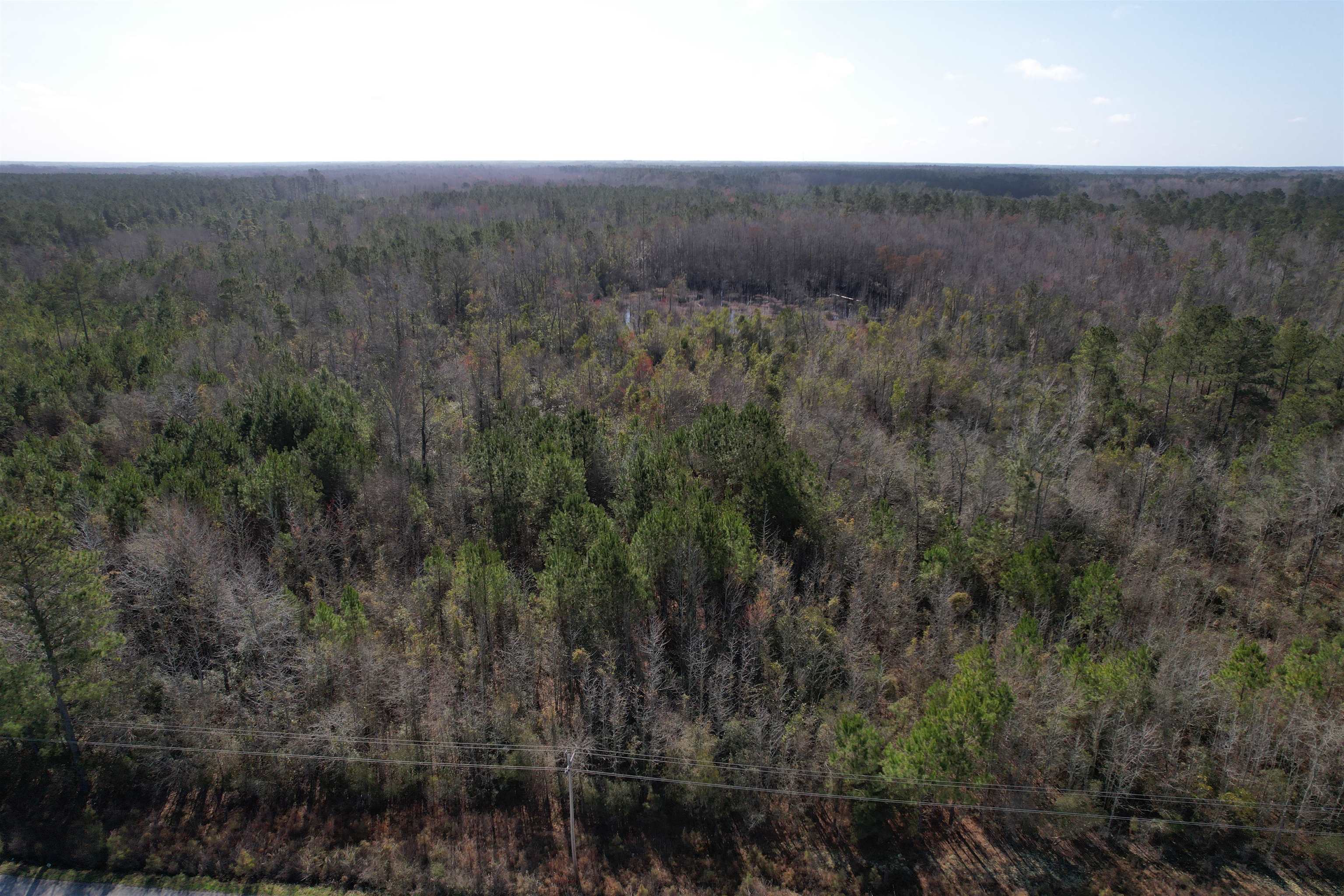 Tbd I M Graham Road Kingstree, SC 29556 - Photo 5 of 9