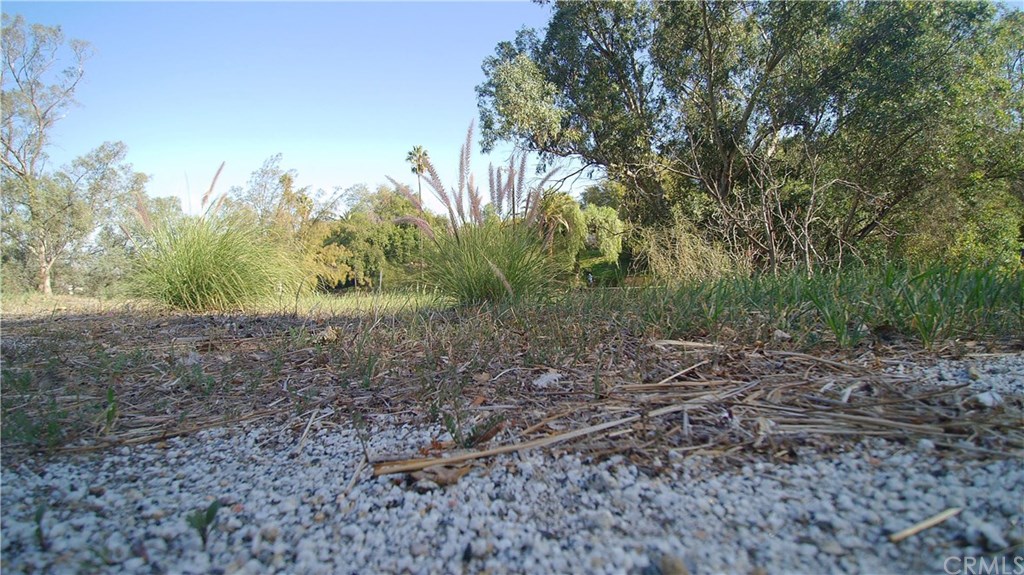 0 Myrtle Riverside, CA 92506 - Photo 19 of 55