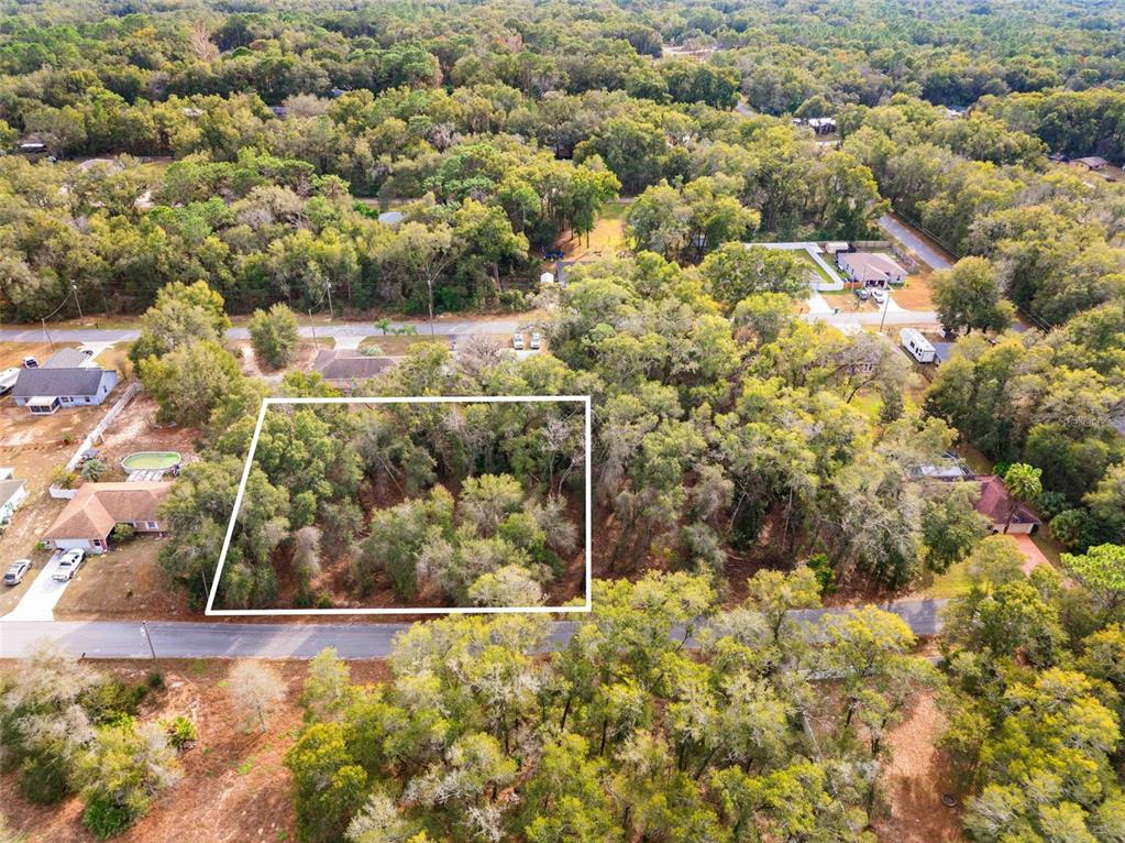 3910 East Scotty Street Inverness, FL 34453 - Photo 11 of 36