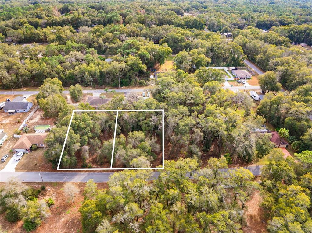 3910 East Scotty Street Inverness, FL 34453 - Photo 14 of 36 a view of a yard