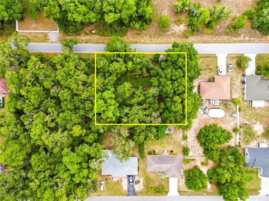 3910 East Scotty Street Inverness, FL 34453 - Photo 15 of 36 a backyard of a house with lots of green space and plants