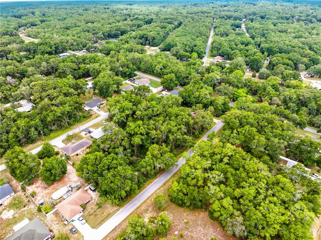 3910 East Scotty Street Inverness, FL 34453 - Photo 16 of 36 a view of a garden with an empty room