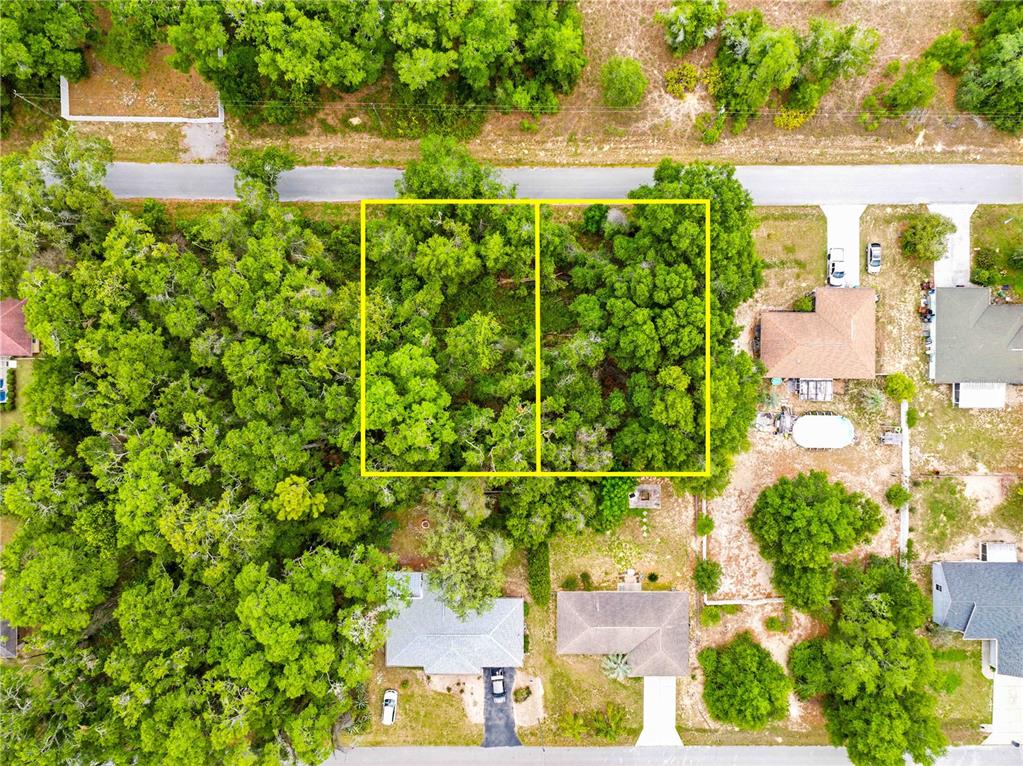 3910 East Scotty Street Inverness, FL 34453 - Photo 17 of 36 a backyard of a house with lots of green space and plants