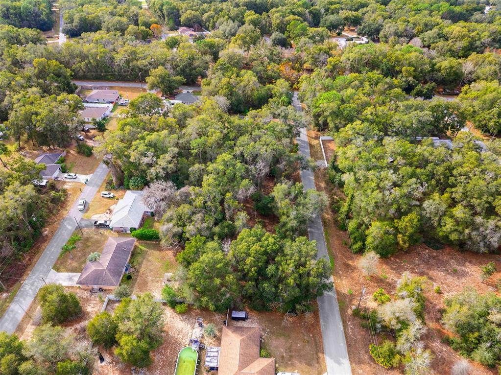 3910 East Scotty Street Inverness, FL 34453 - Photo 19 of 36 a view of a garden with plants