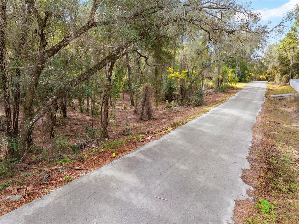 3910 East Scotty Street Inverness, FL 34453 - Photo 23 of 36 a view of backyard space