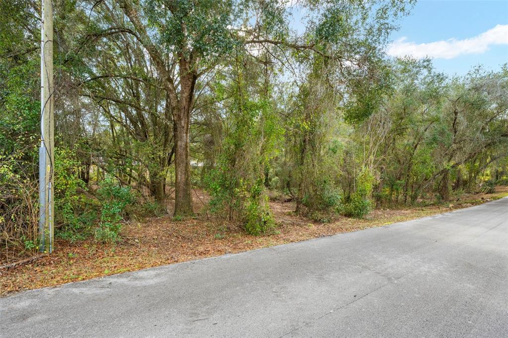 3910 East Scotty Street Inverness, FL 34453 - Photo 25 of 36 a view of a field with trees in the background