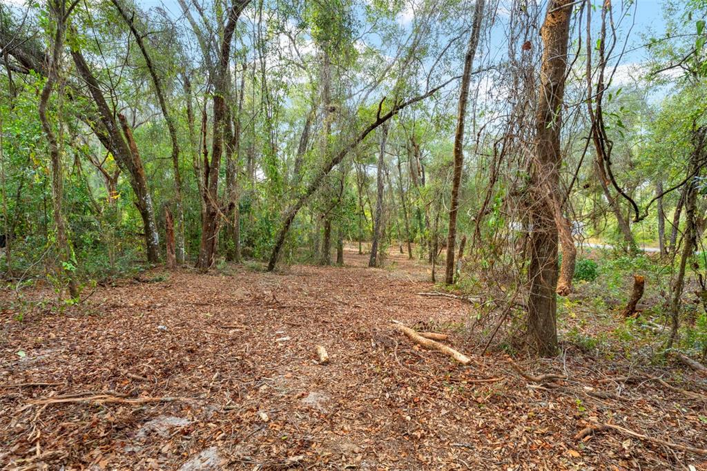 3910 East Scotty Street Inverness, FL 34453 - Photo 26 of 36 a view of outdoor space and yard