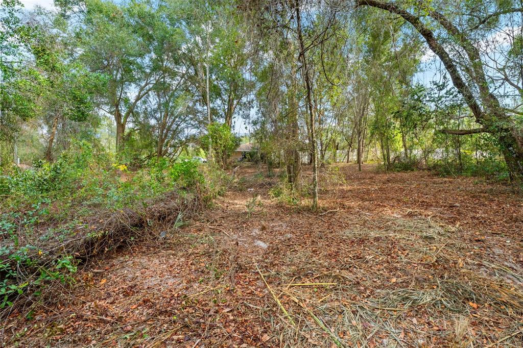 3910 East Scotty Street Inverness, FL 34453 - Photo 28 of 36 a view of backyard with green space