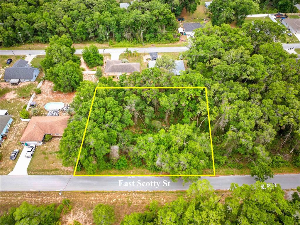 3910 East Scotty Street Inverness, FL 34453 - Photo 3 of 36 a view of an outdoor space